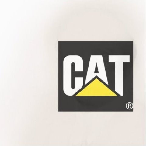 MWM becomes part of Caterpillar Inc., USA.